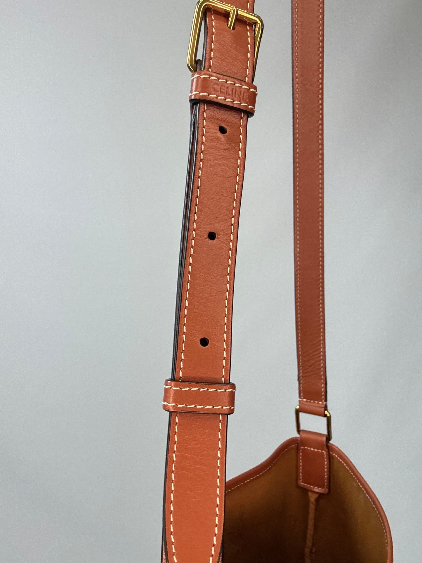 The Celine Triomphe Small Canvas Bucket Bag
