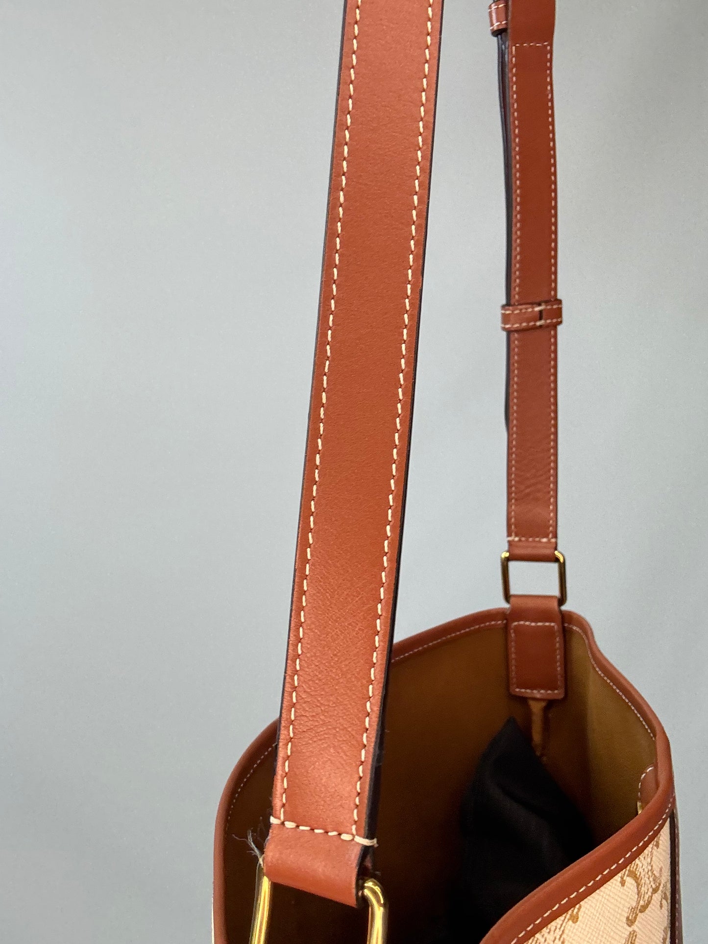 The Celine Triomphe Small Canvas Bucket Bag