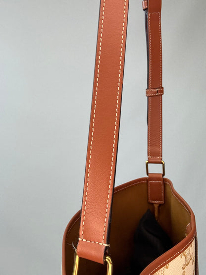 The Celine Triomphe Small Canvas Bucket Bag