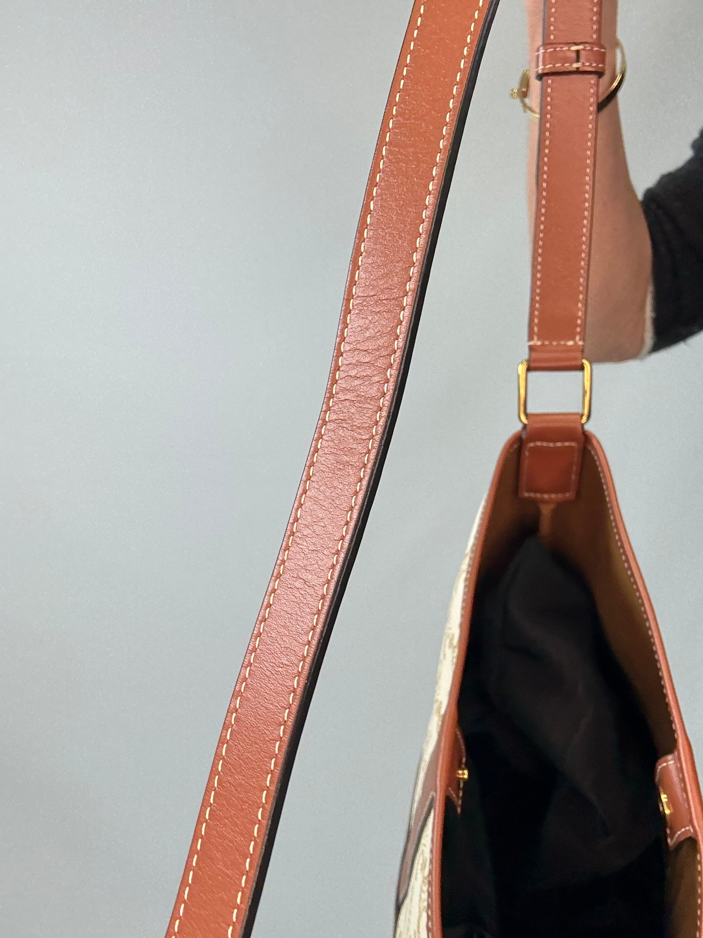 The Celine Triomphe Small Canvas Bucket Bag