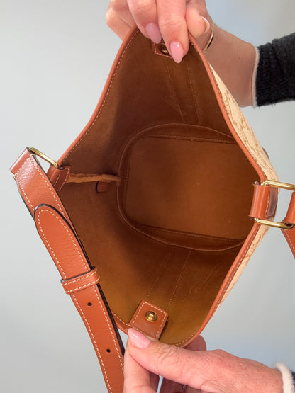 The Celine Triomphe Small Canvas Bucket Bag