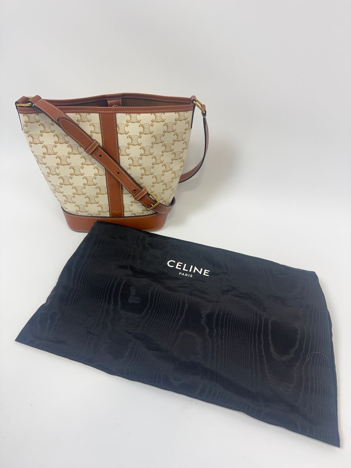 The Celine Triomphe Small Canvas Bucket Bag