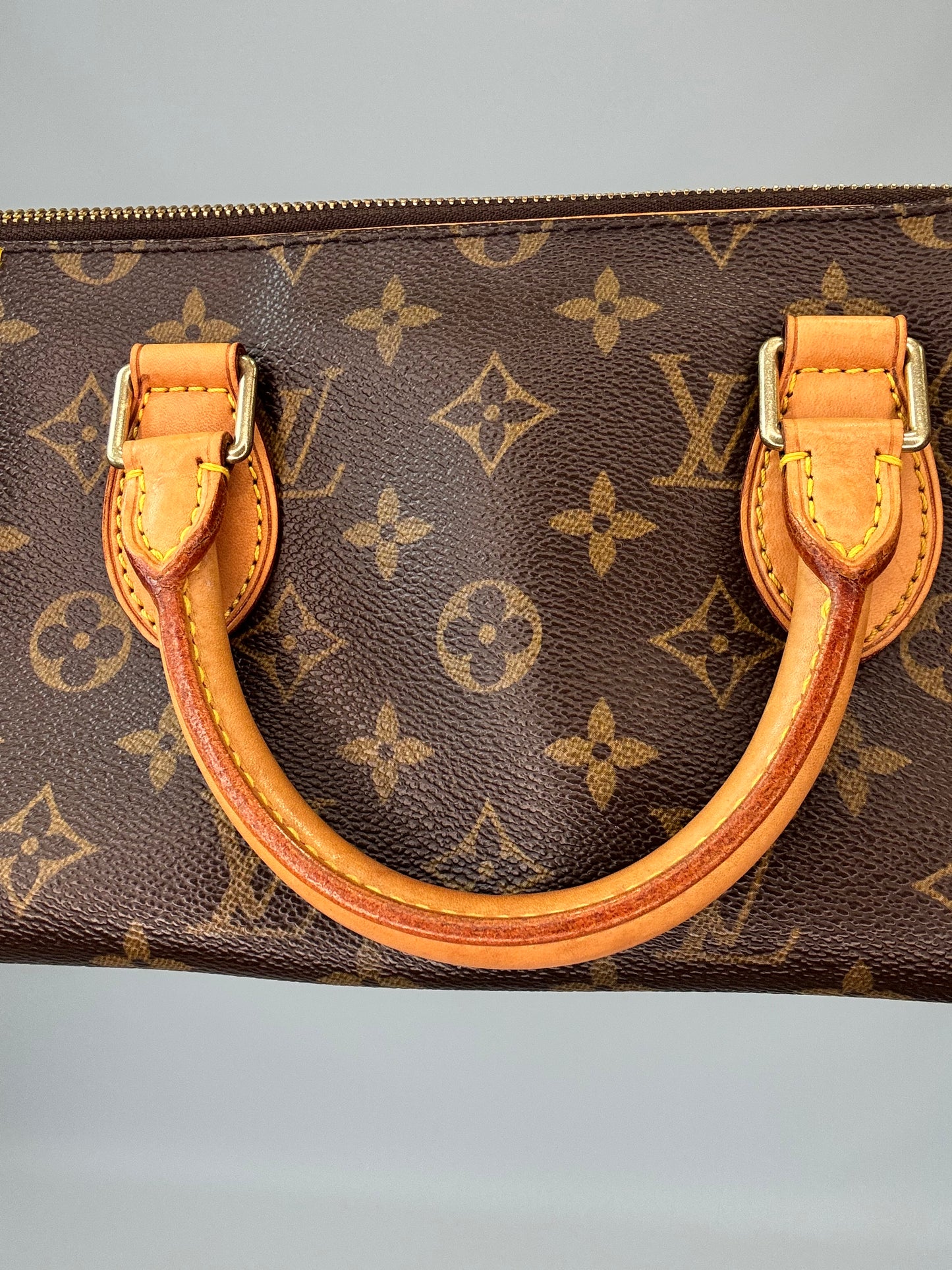 Louis Vuitton Popincourt Monogram Top Handle