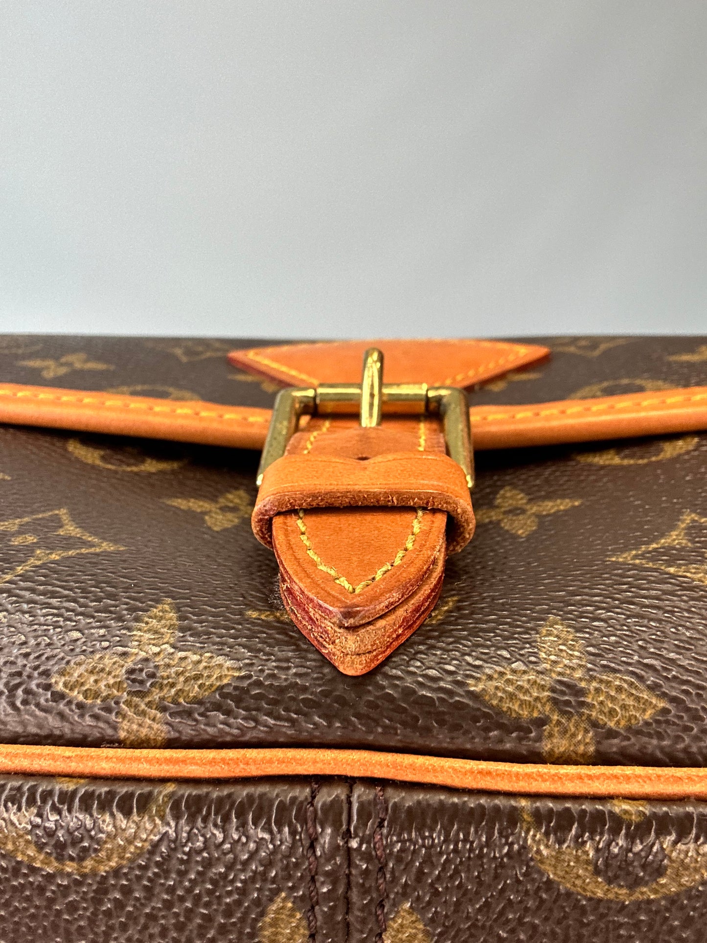 Louis Vuitton Sologne Monogram Shoulder Bag