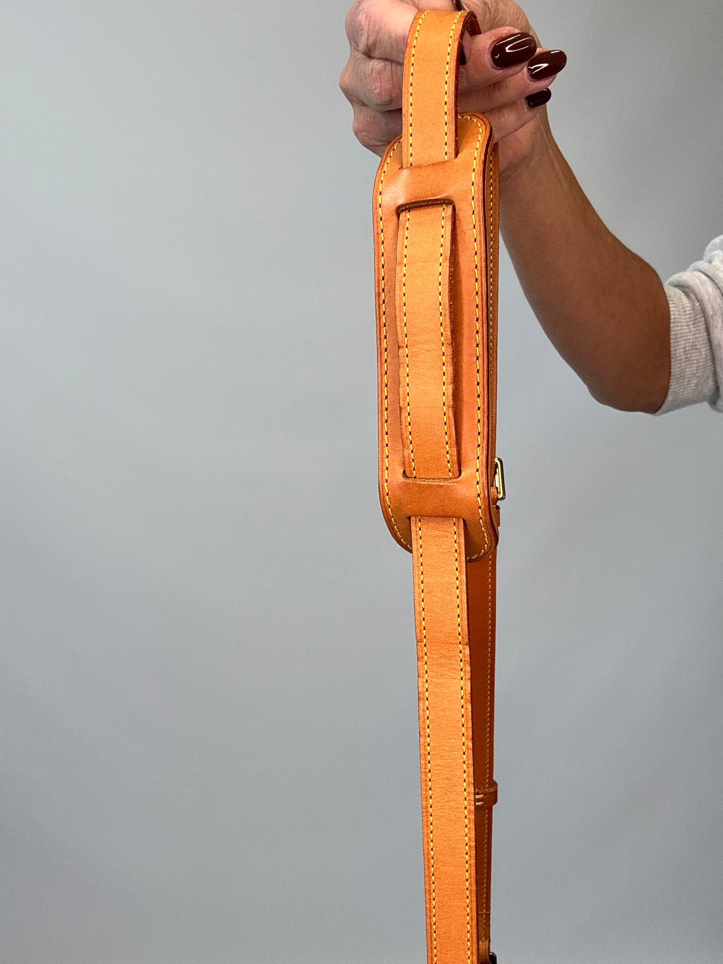 Louis Vuitton Sologne Monogram Shoulder Bag