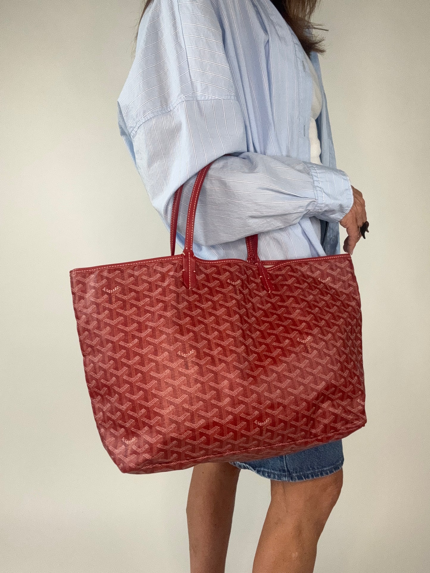 Goyard St Louis PM Red With Pouch