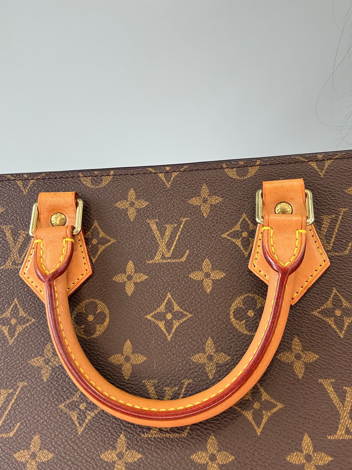 Louis Vuitton Triangle Sac Monogram