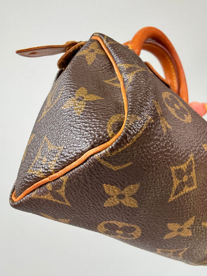 Vintage Nano Speedy Monogram