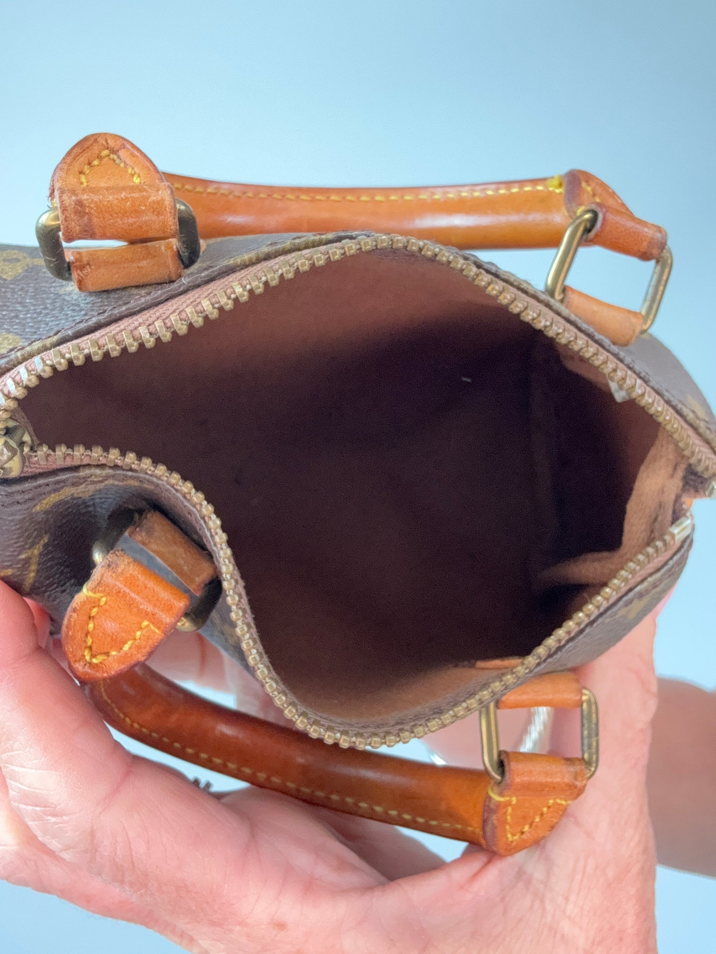 Vintage Nano Speedy Monogram