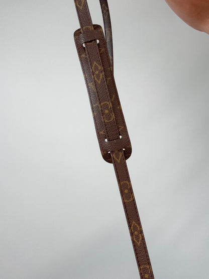 Vintage Nano Speedy Monogram