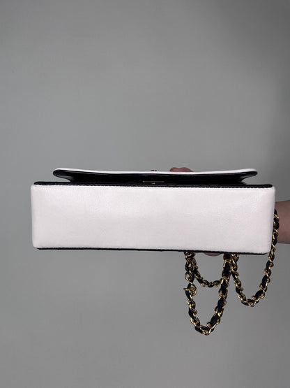 Chanel Vintage Diana Bicolor Bag