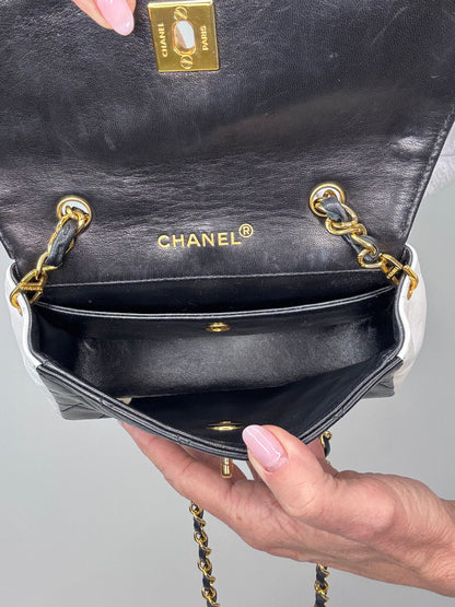 Chanel Vintage Diana Bicolor Bag