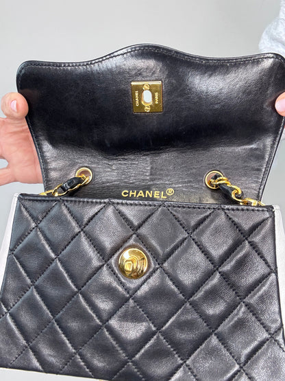 Chanel Vintage Diana Bicolor Bag