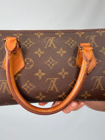 Louis Vuitton Monogram Triangle Sac