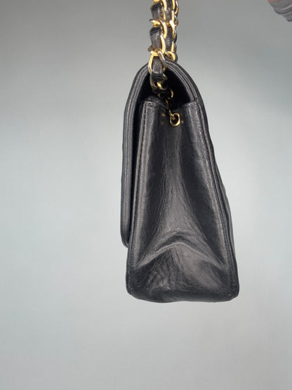 Chanel Vintage Small Diana