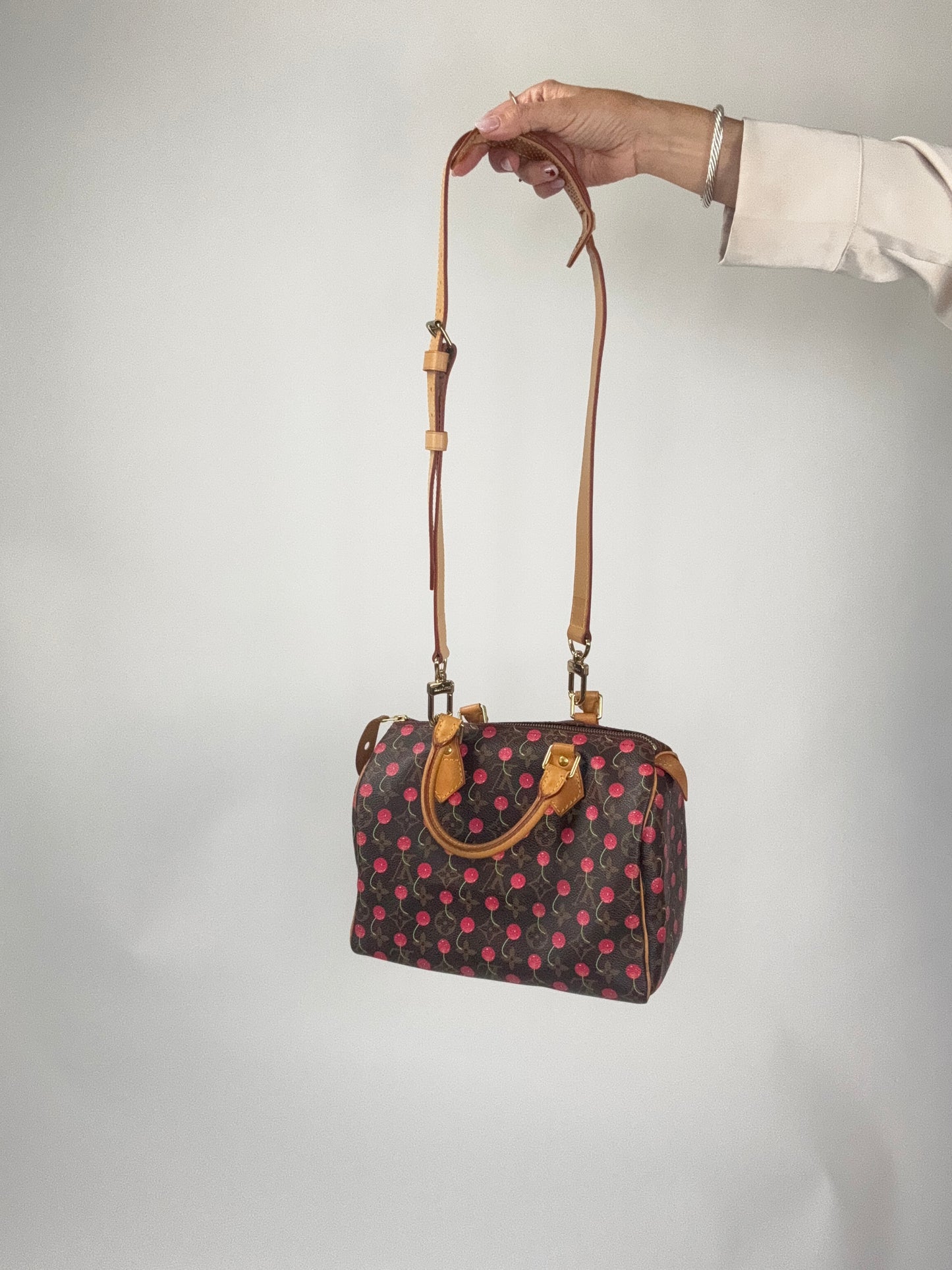 Louis Vuitton Takashi Murakami Cherry Speedy 25