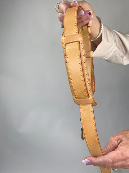 Louis Vuitton Takashi Murakami Cherry Speedy 25