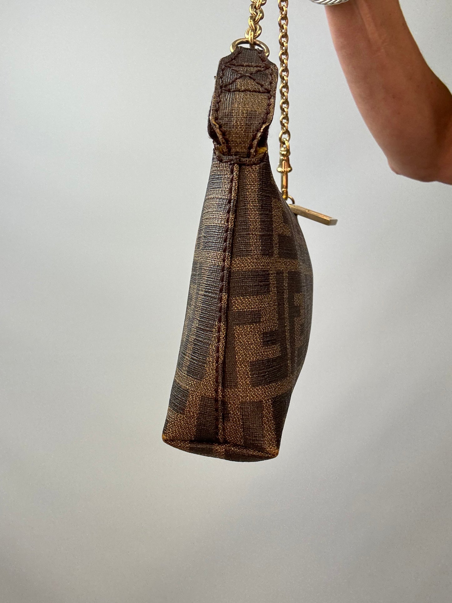 Fendi Zucca Rare  Spalmati Rose Ladybug Pochette Tabacco