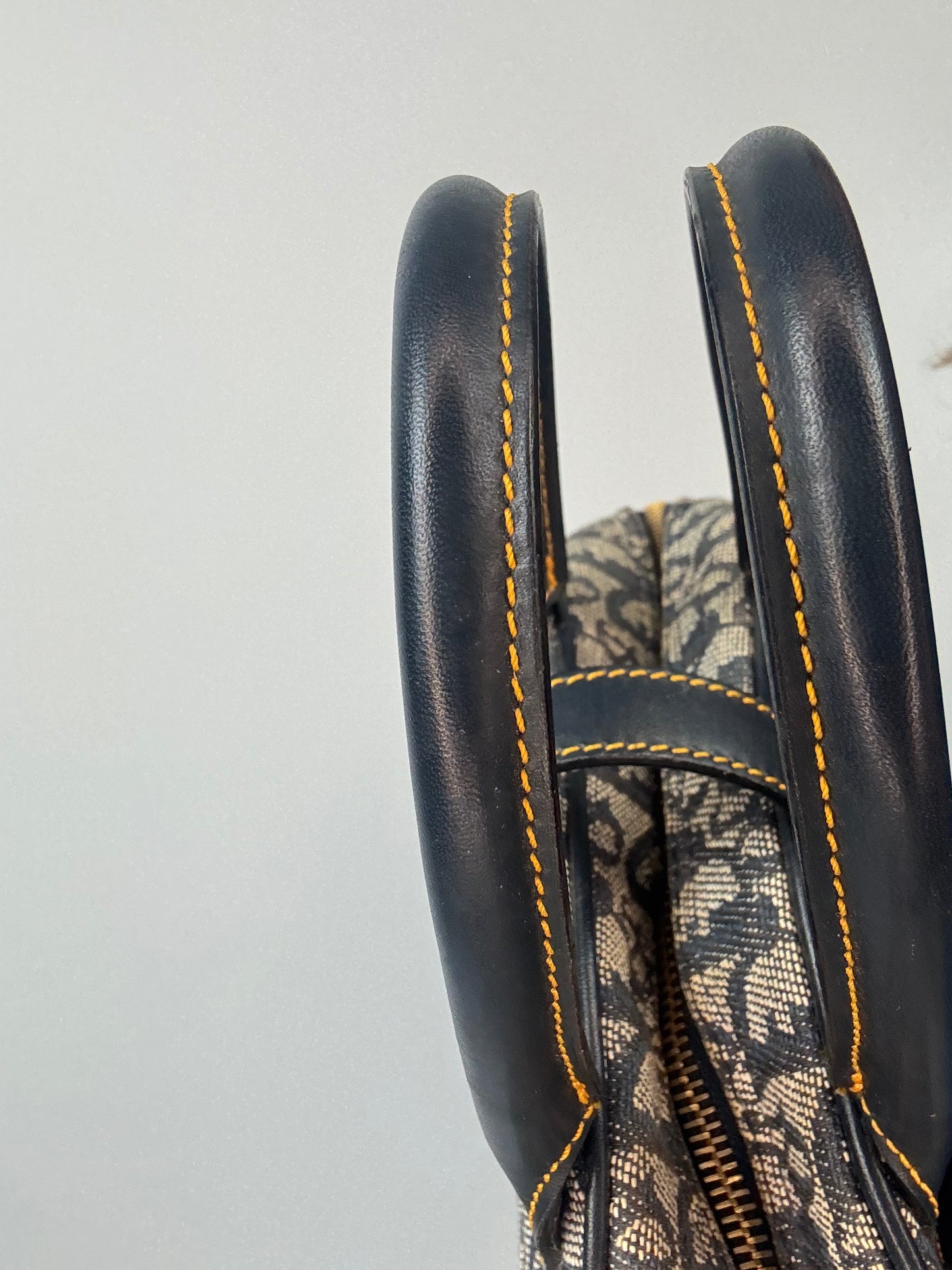 Christian Dior Double Saddle Bowler Small