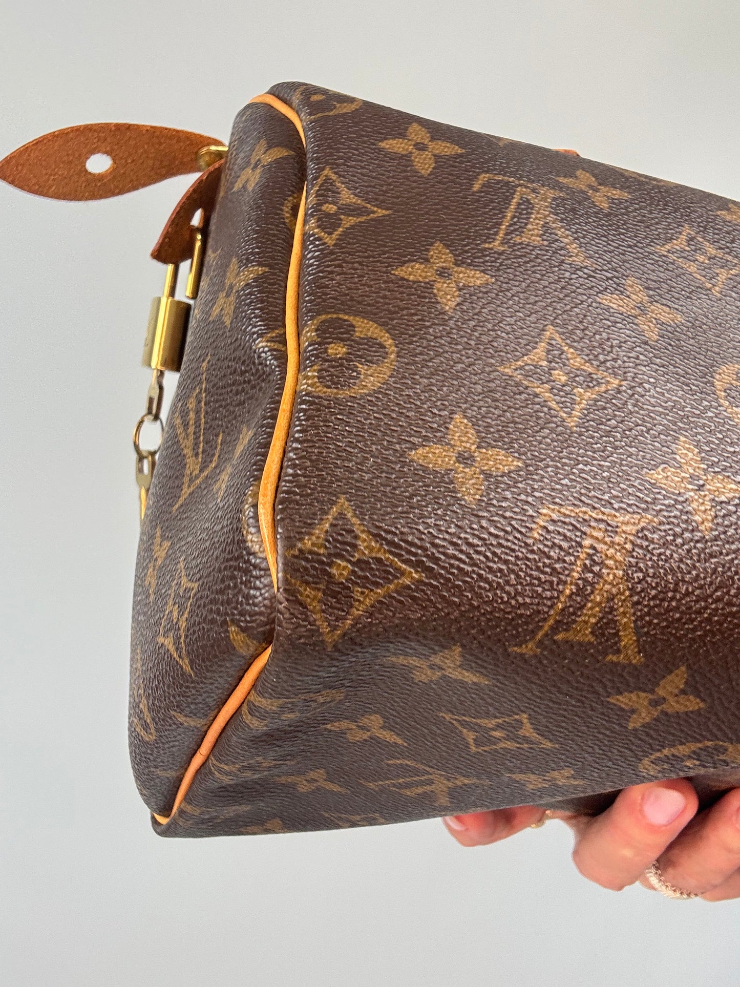 Louis Vuitton Speedy 25 Monogram Canvas
