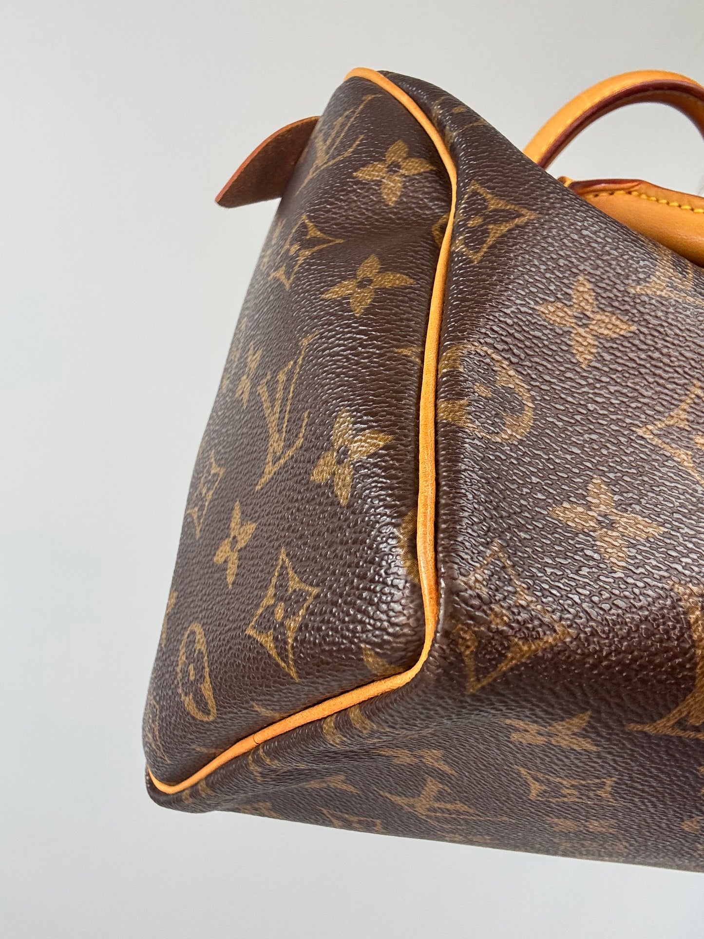 Louis Vuitton Speedy 25 Monogram Canvas