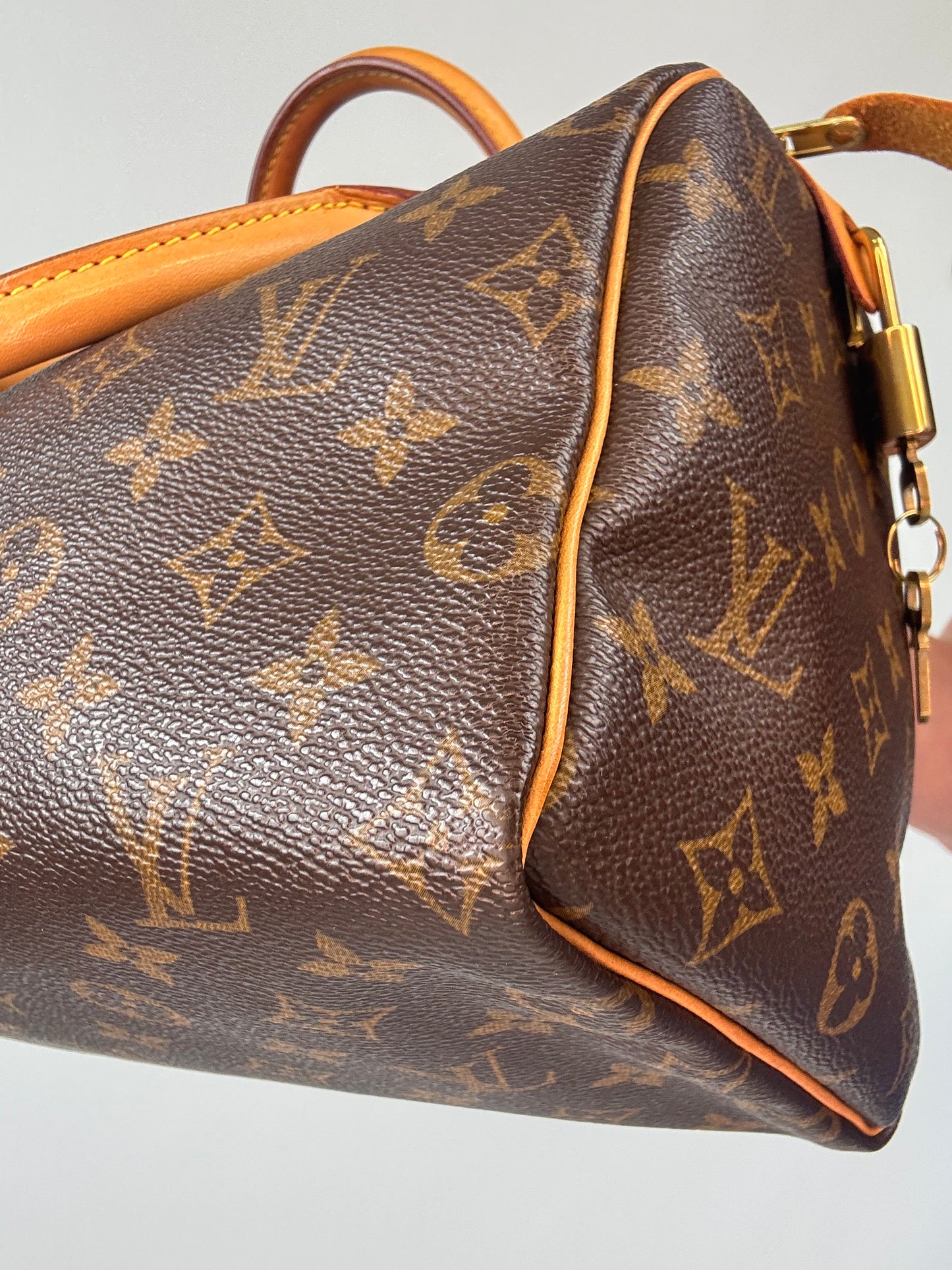 Louis Vuitton Speedy 25 Monogram Canvas