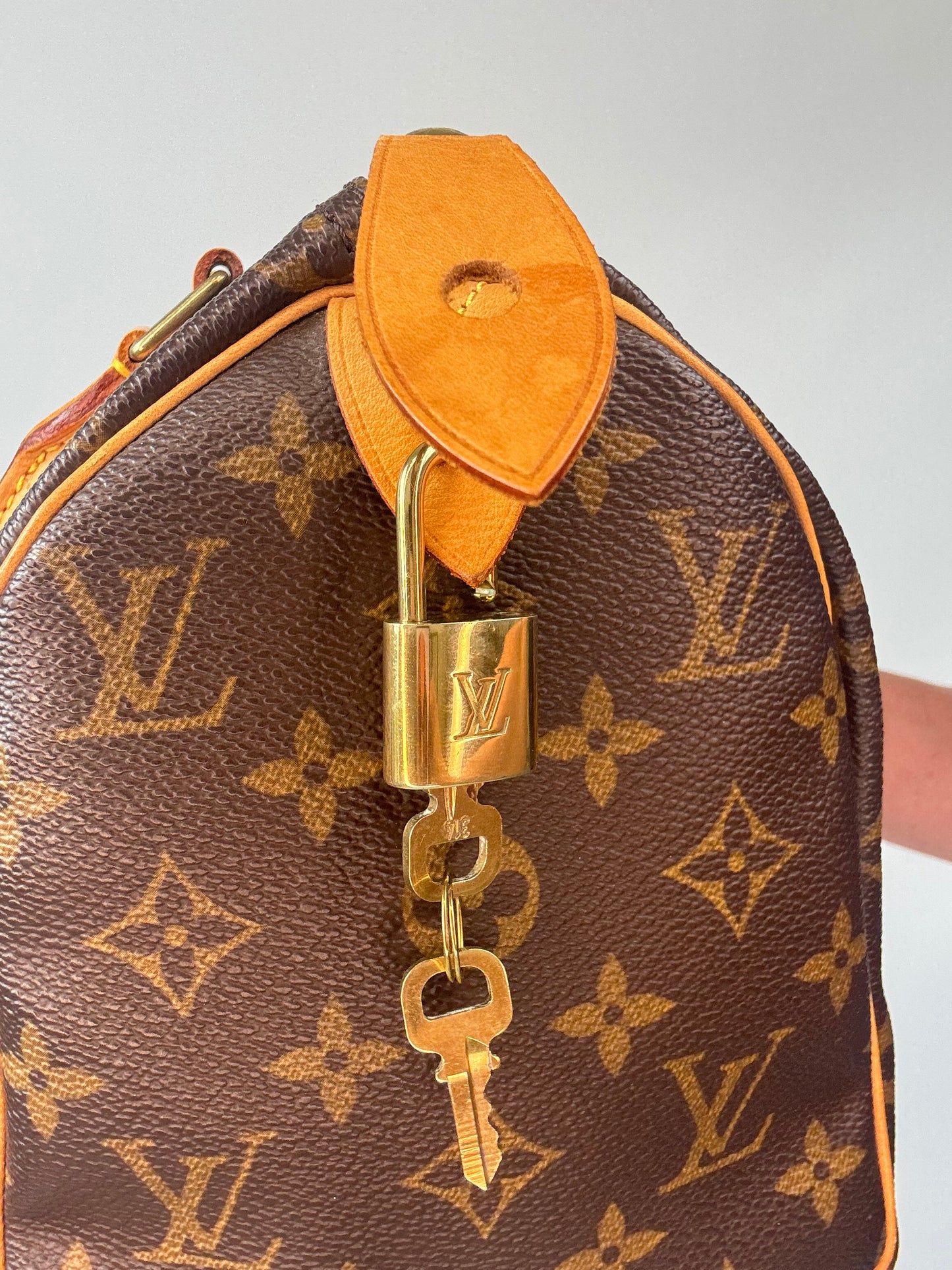 Louis Vuitton Speedy 25 Monogram Canvas