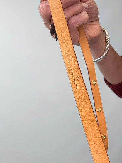 Louis Vuitton Vintage Florentine Belt Bag