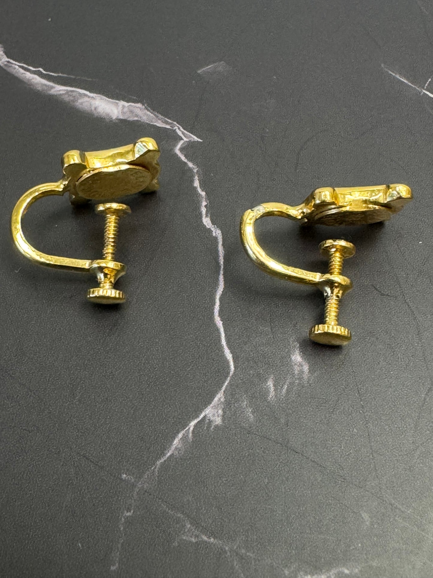 Celine Triomphe Screw Back Earrings