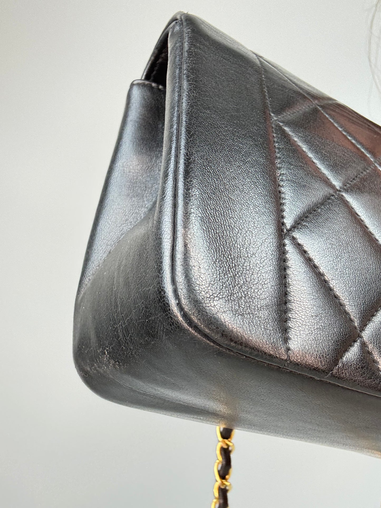 Chanel Vintage Small Diana