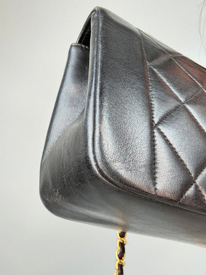 Chanel Vintage Small Diana