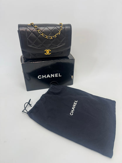 Chanel Vintage Small Diana