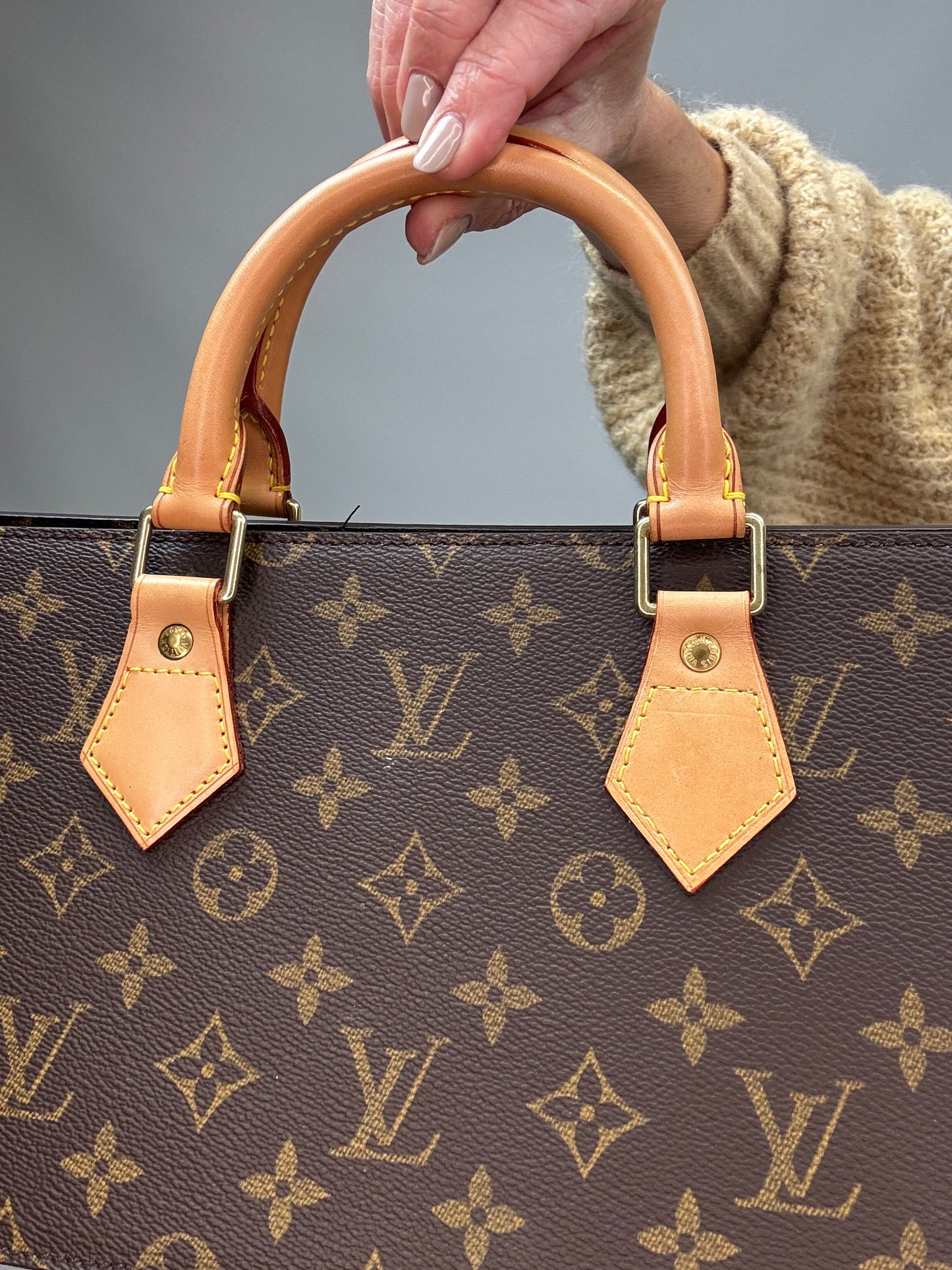 Louis Vuitton Monogram Triangle Sac