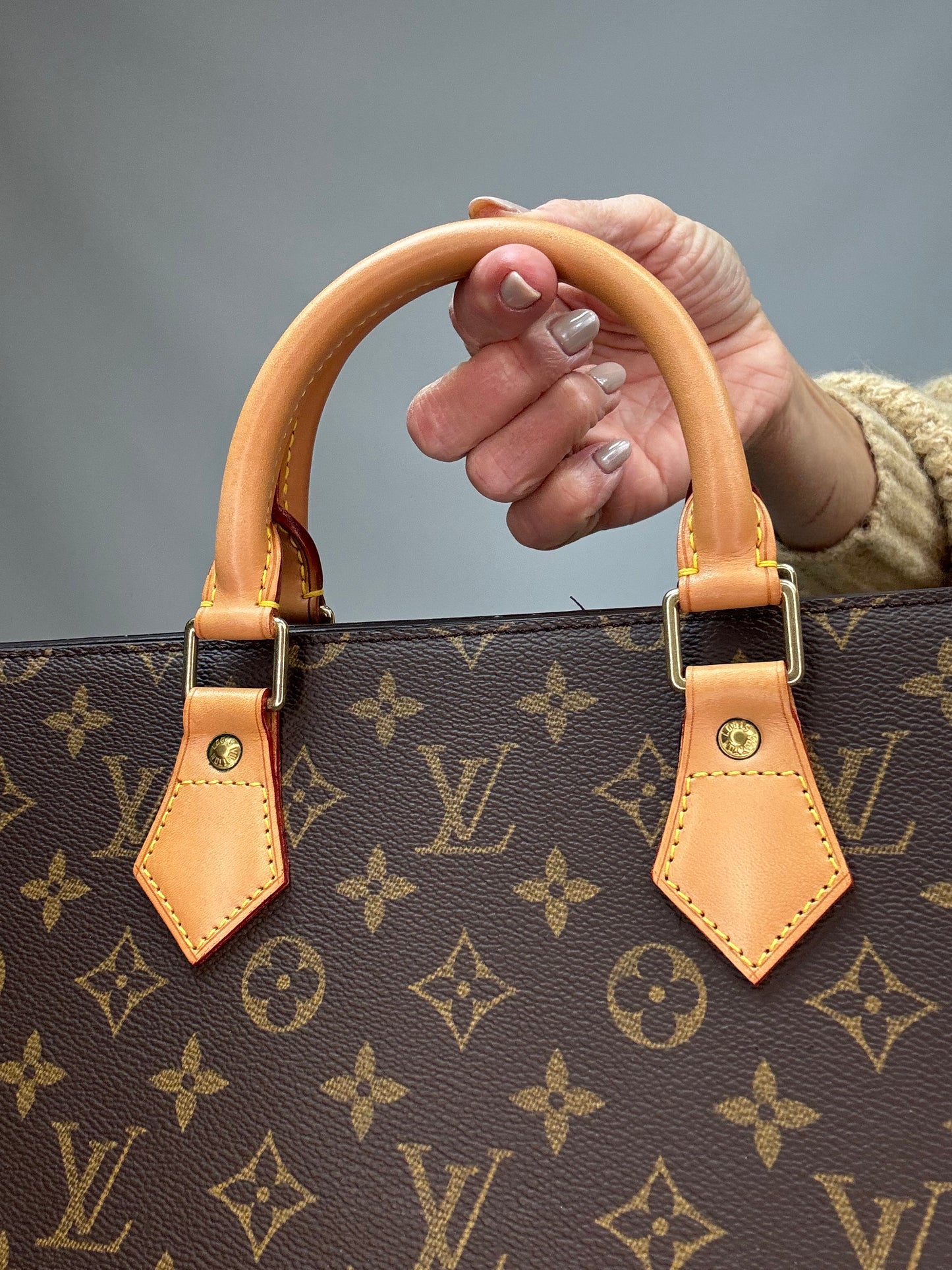 Louis Vuitton Monogram Triangle Sac
