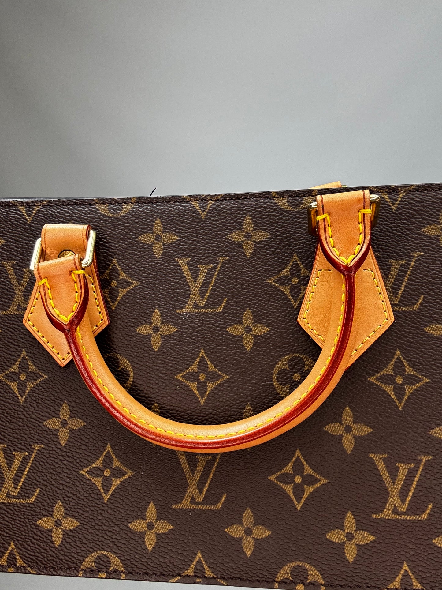Louis Vuitton Monogram Triangle Sac