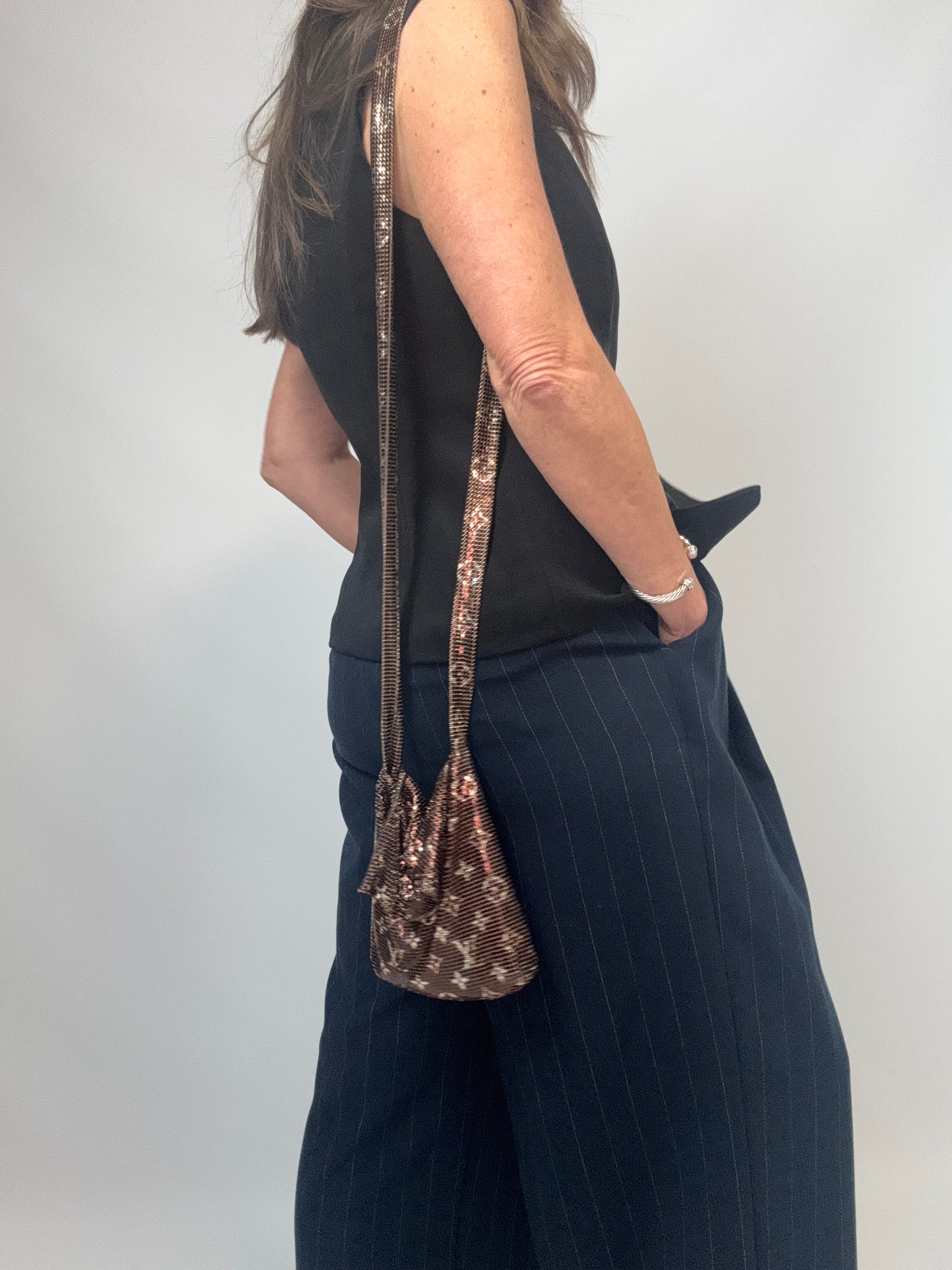 Louis Vuitton Monogram Mesh Metal Frances Bronze modeled image 2