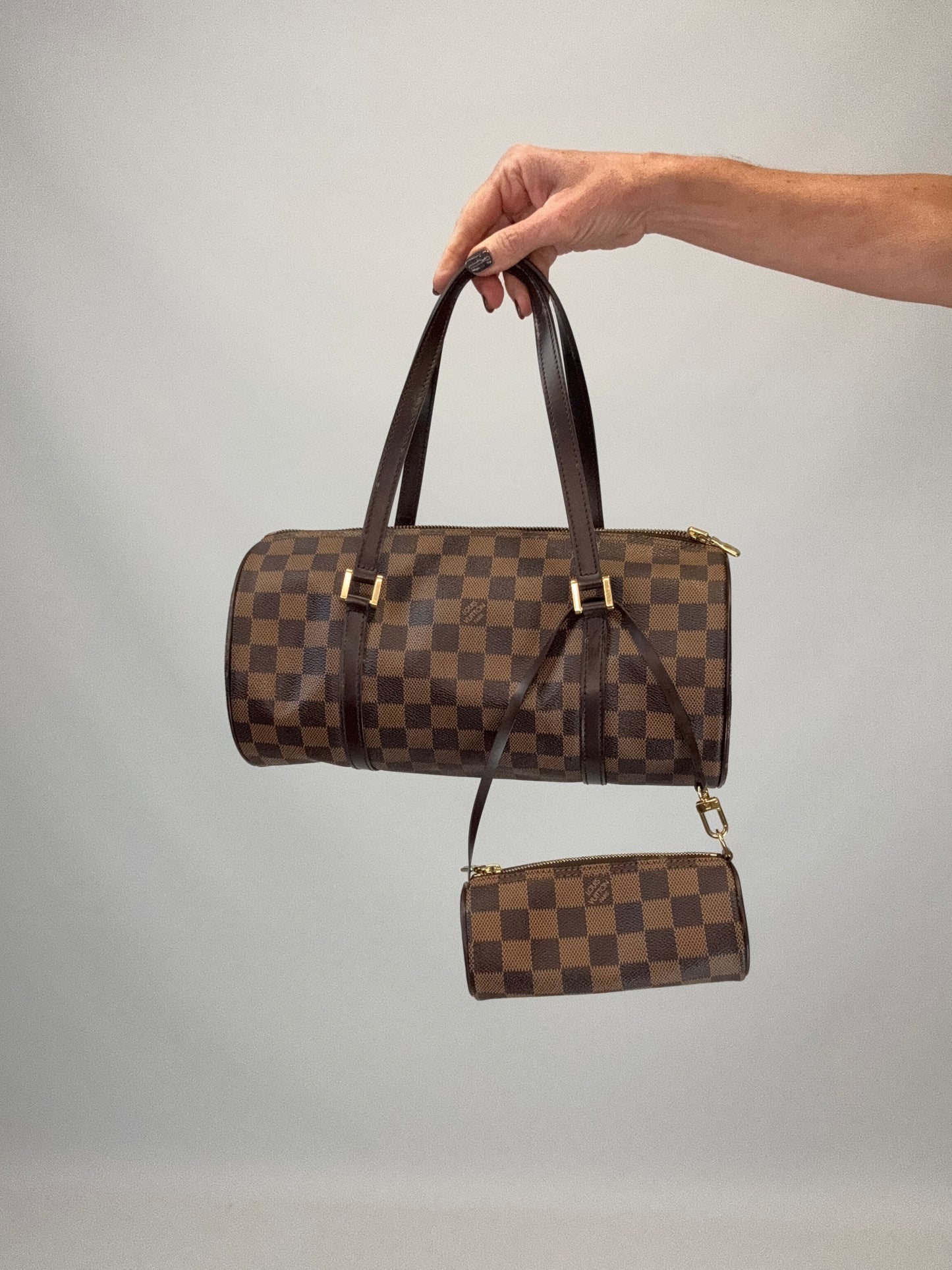 Louis Vuitton Damier Ebene Papillon 30 Set with Mini Pouch
