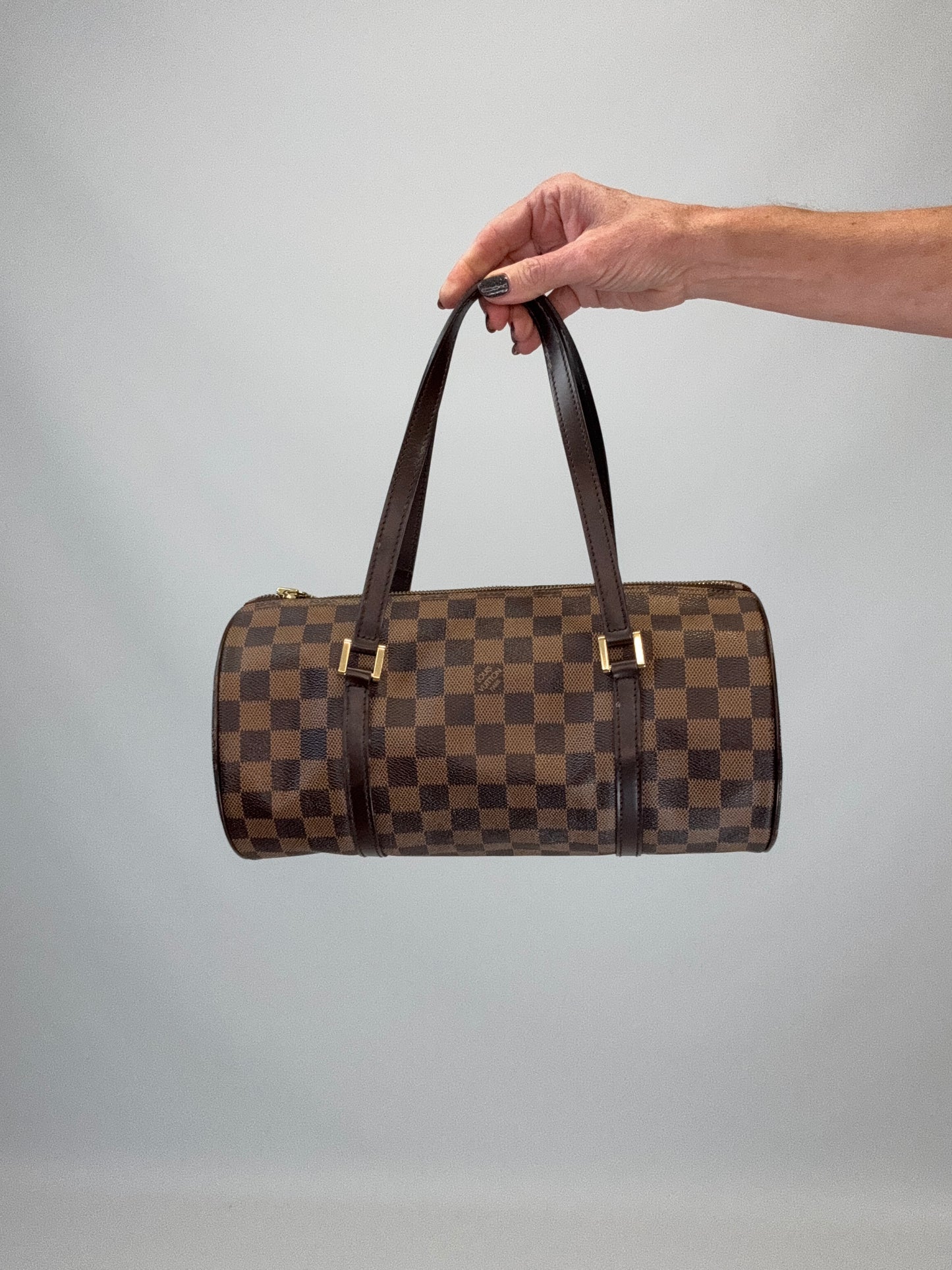Louis Vuitton Damier Ebene Papillon 30 Set with Mini Pouch