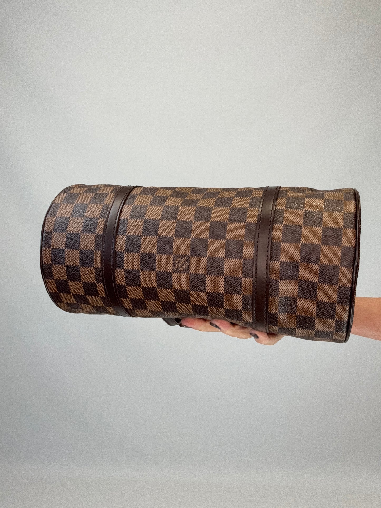 Louis Vuitton Damier Ebene Papillon 30 Set with Mini Pouch