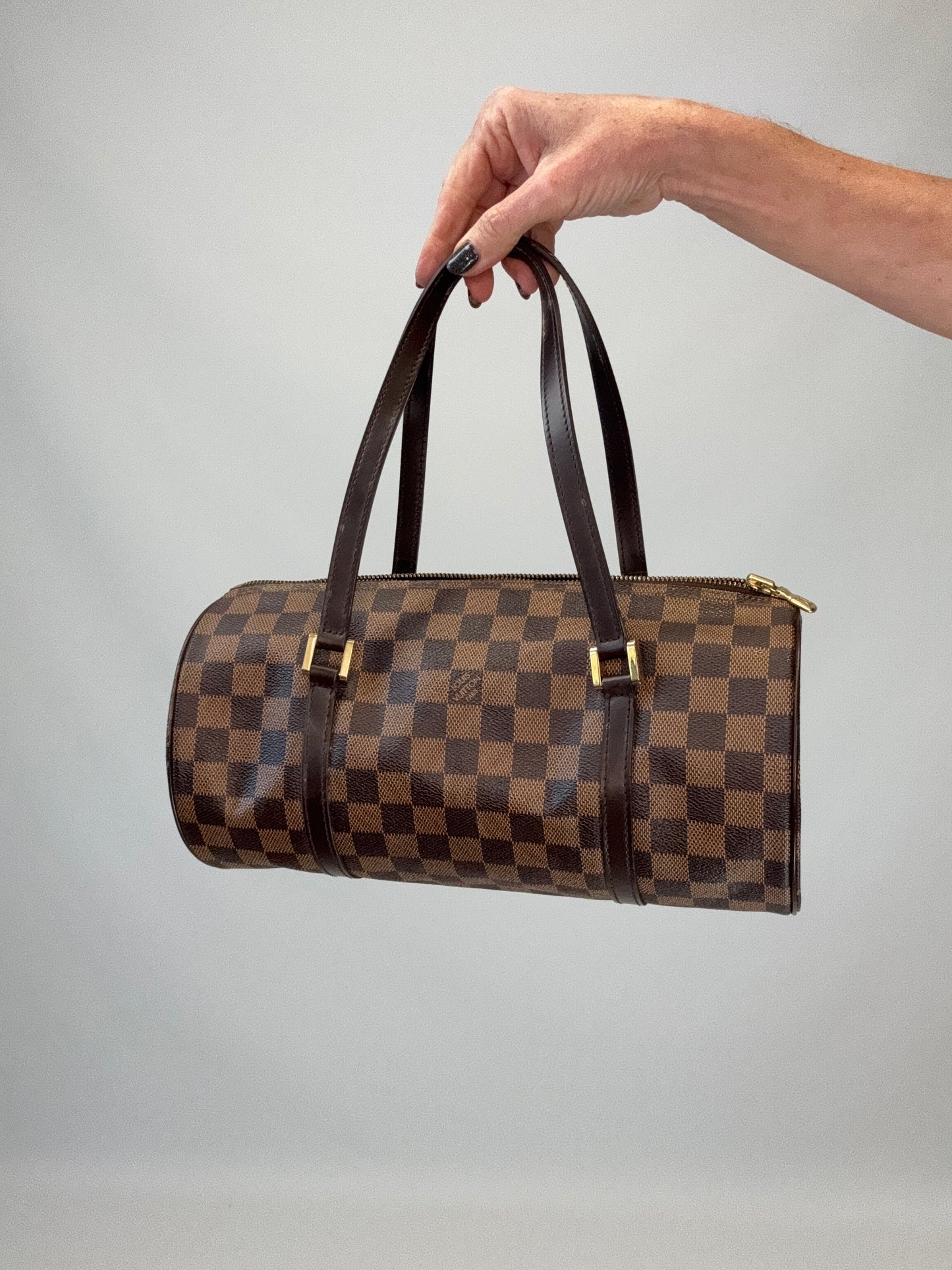Louis Vuitton Damier Ebene Papillon 30 Set with Mini Pouch