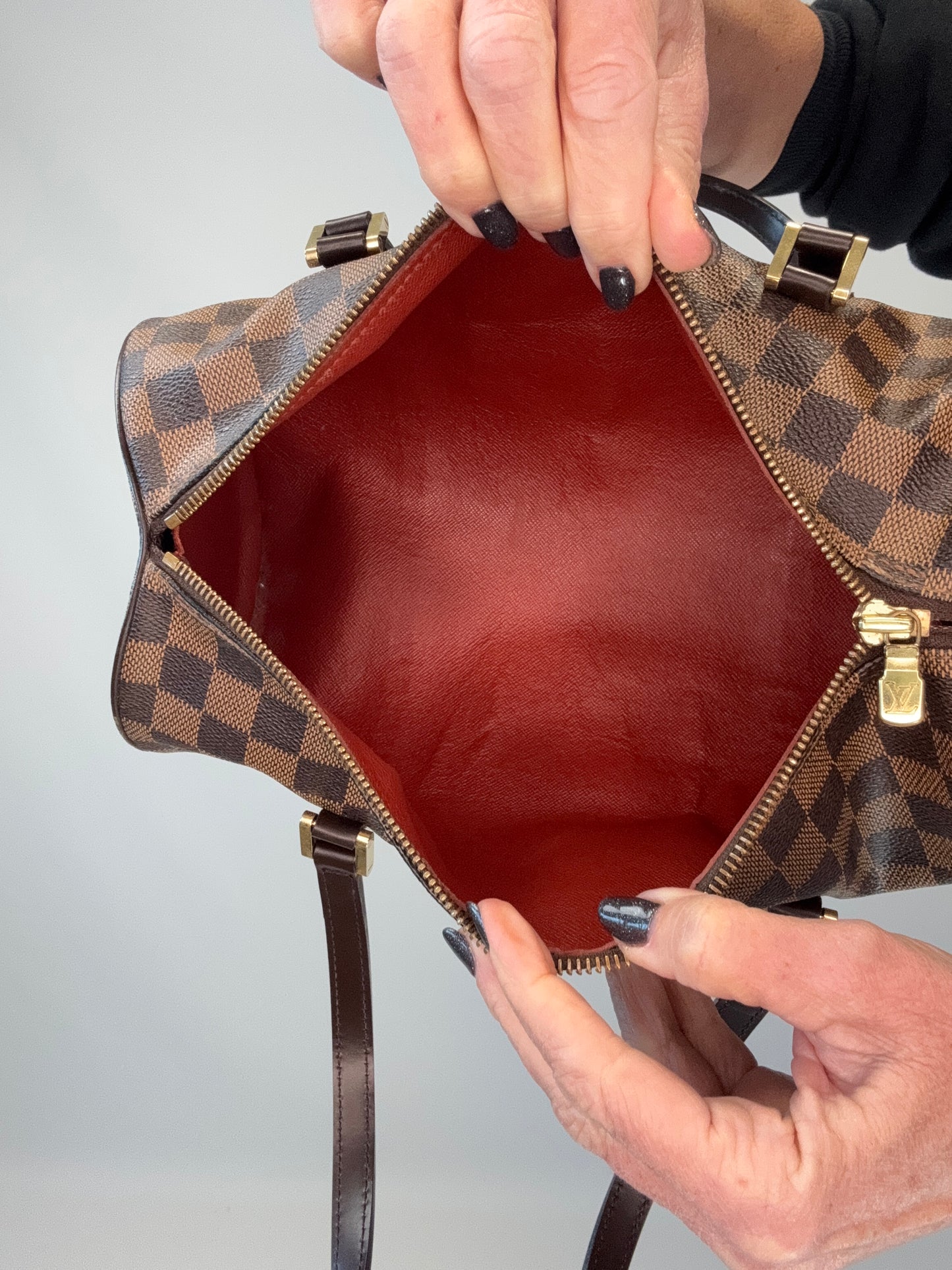 Louis Vuitton Damier Ebene Papillon 30 Set with Mini Pouch