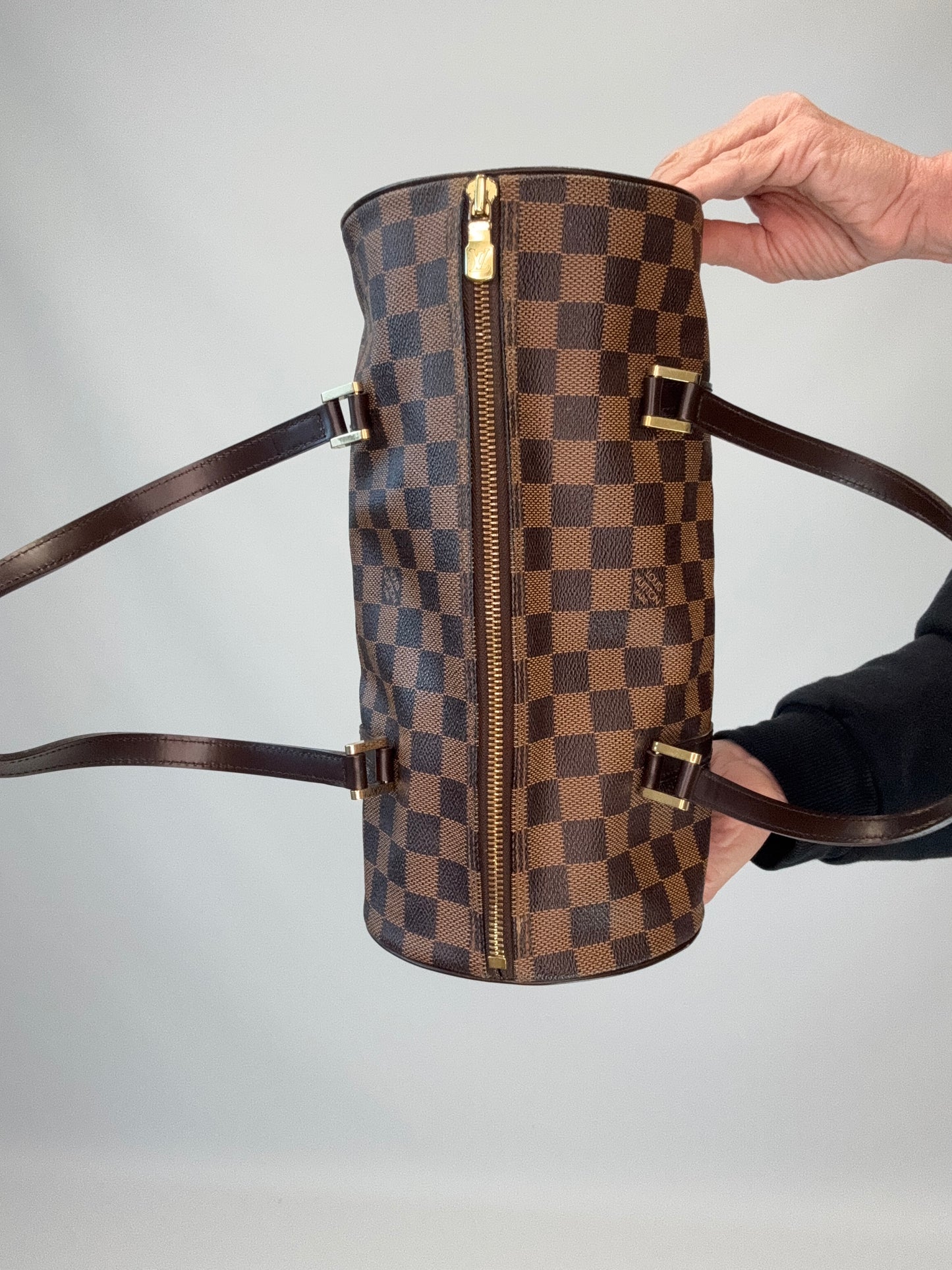 Louis Vuitton Damier Ebene Papillon 30 Set with Mini Pouch