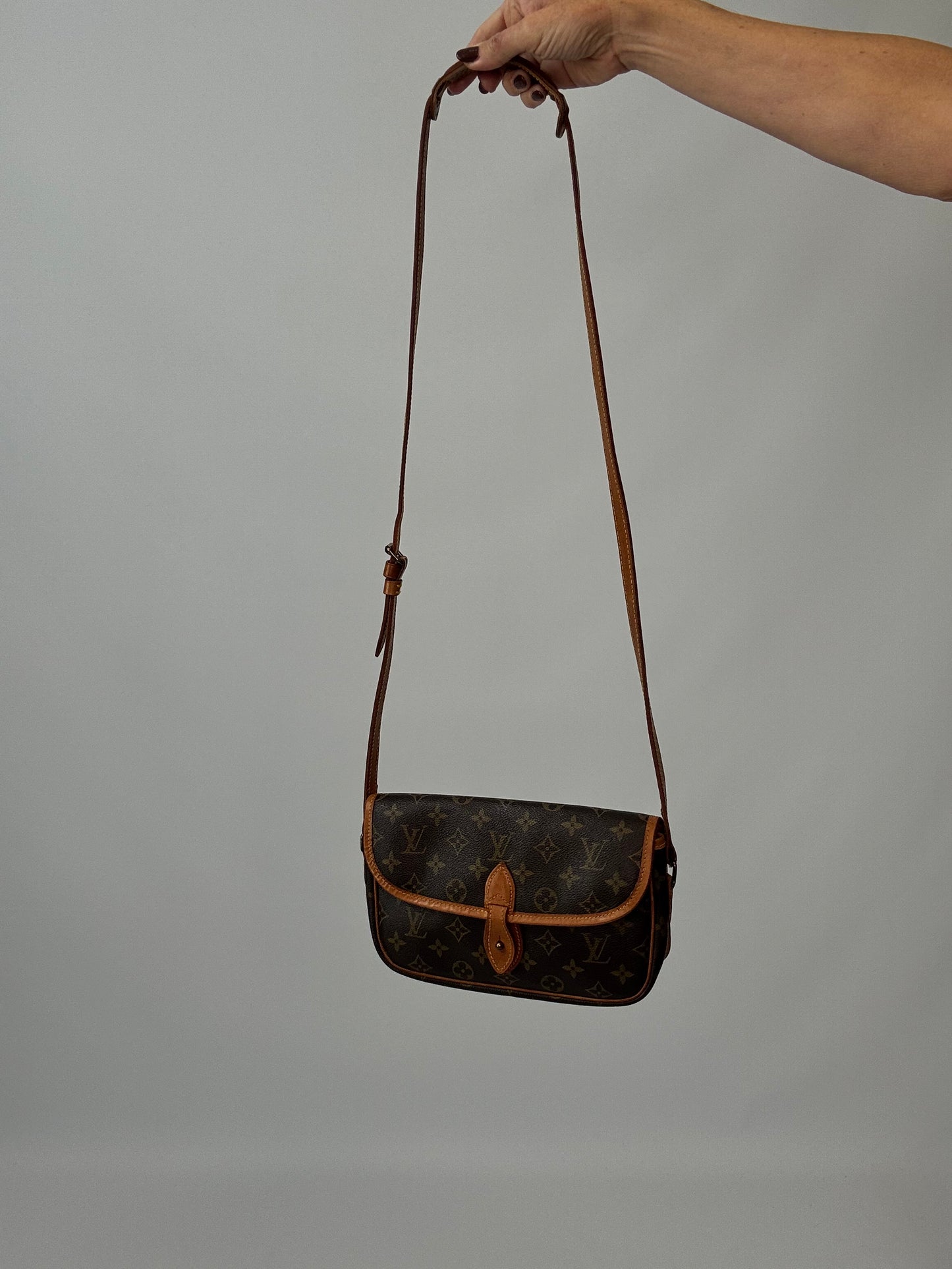 Louis Vuitton Monogram Canvas Gibeciere PM Bag - Vintage