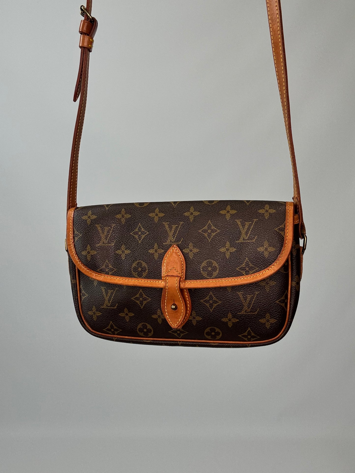 Louis Vuitton Monogram Canvas Gibeciere PM Bag - Vintage