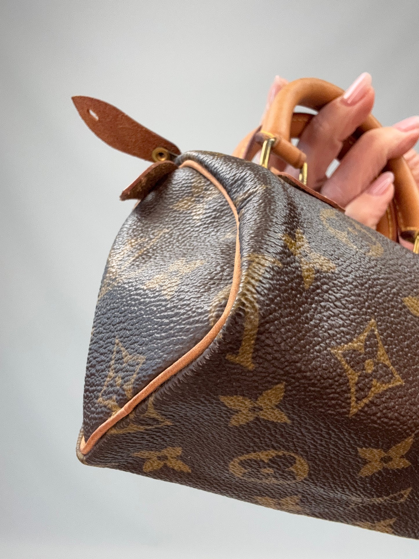 Louis Vuitton Monogram Canvas Nano Speedy