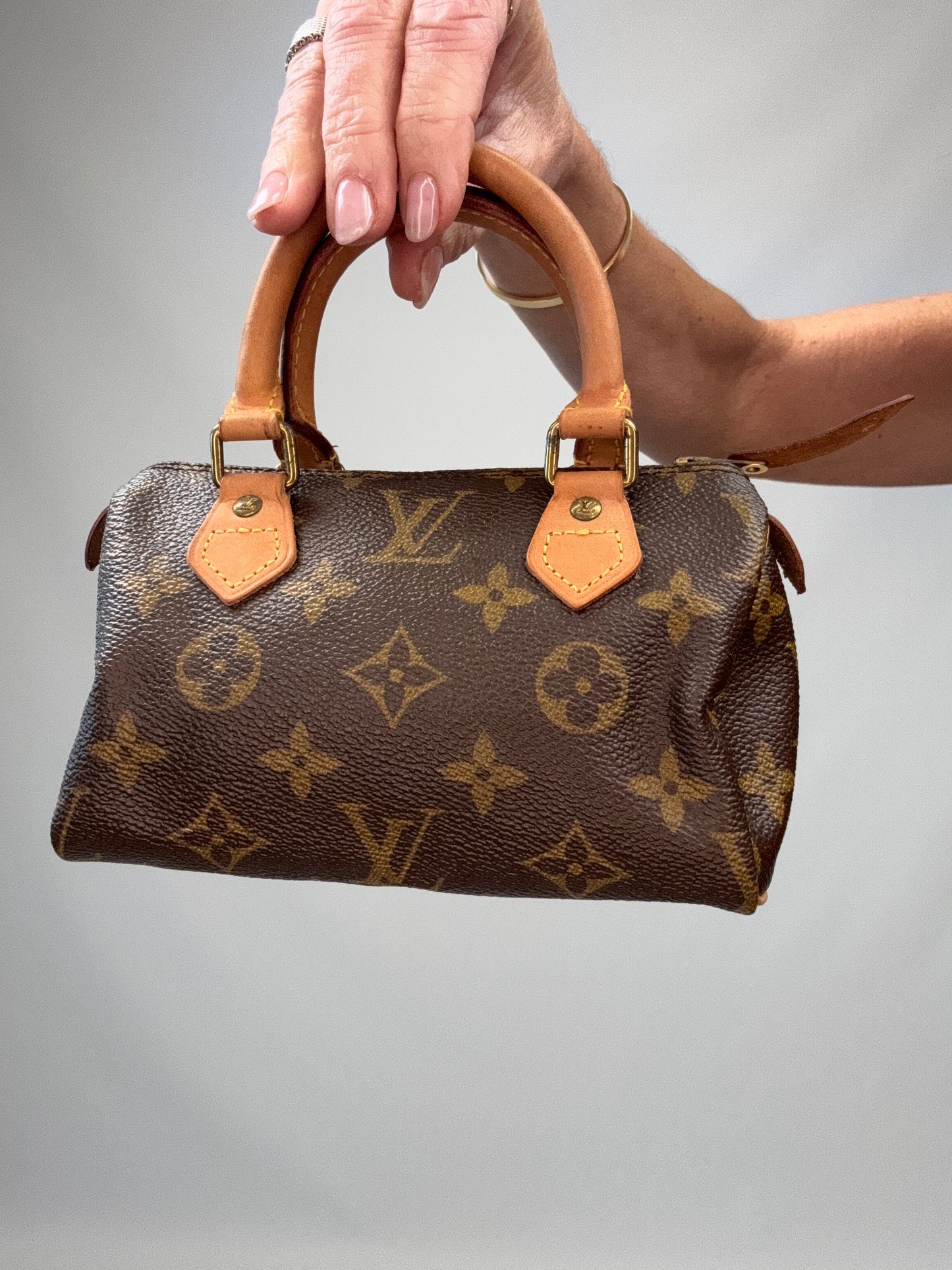 Louis Vuitton Monogram Canvas Nano Speedy