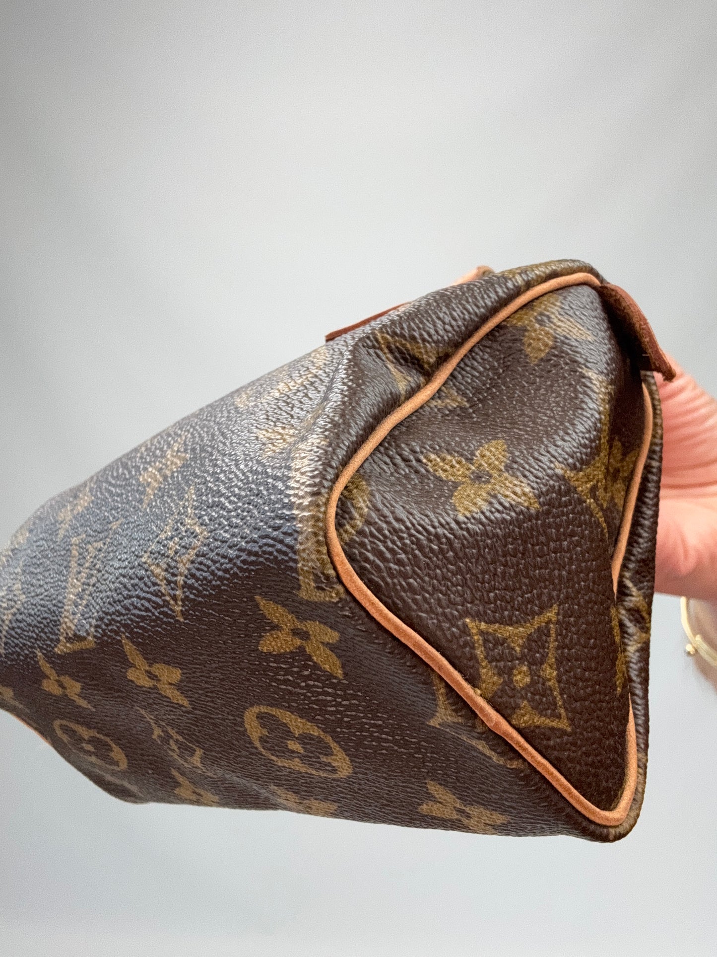 Louis Vuitton Monogram Canvas Nano Speedy