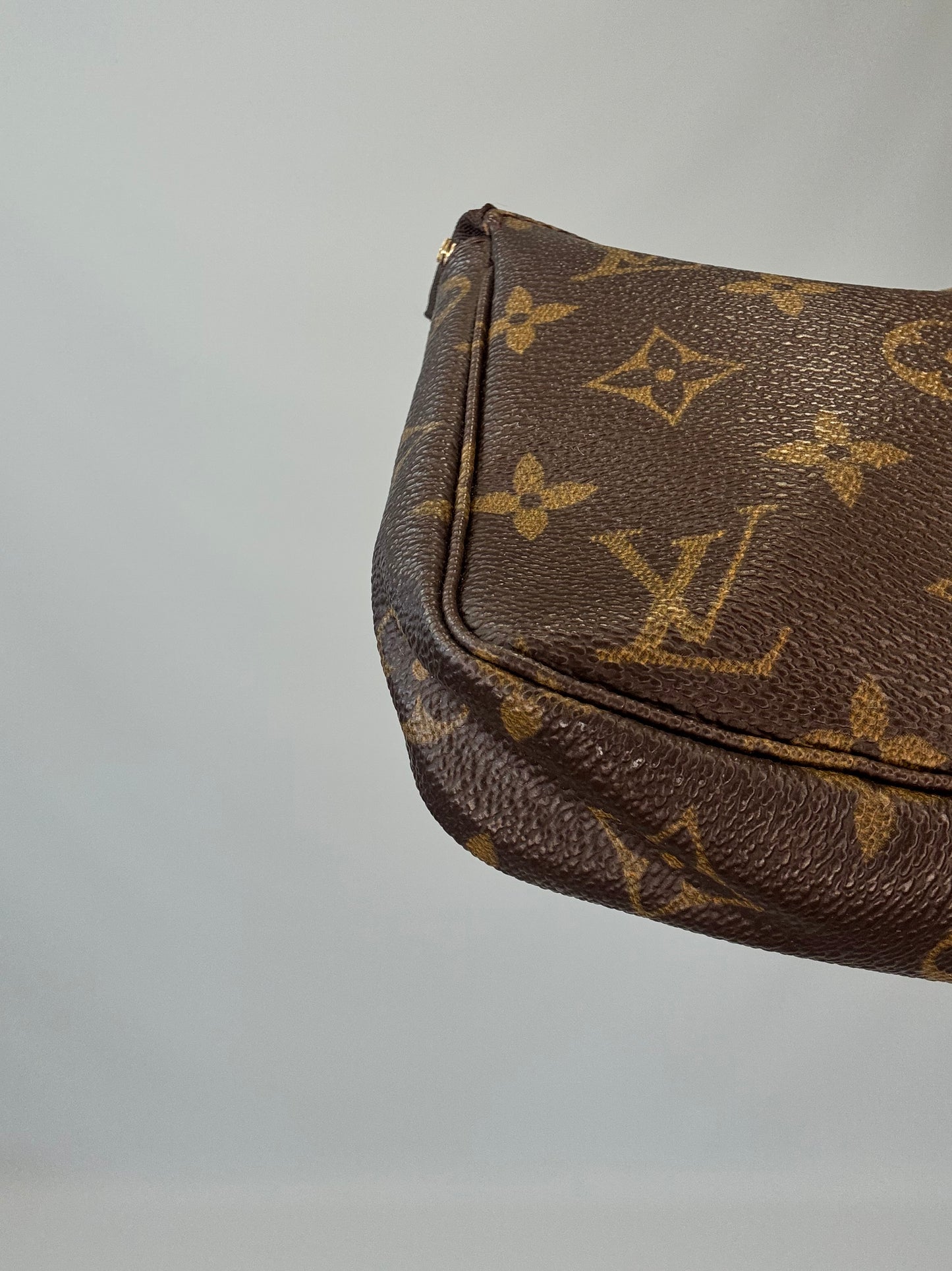Louis Vuitton Monogram Canvas Pochette Accessoires
