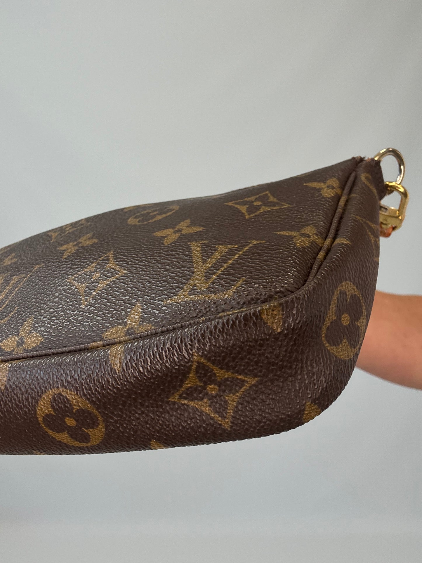 Louis Vuitton Monogram Canvas Pochette Accessoires