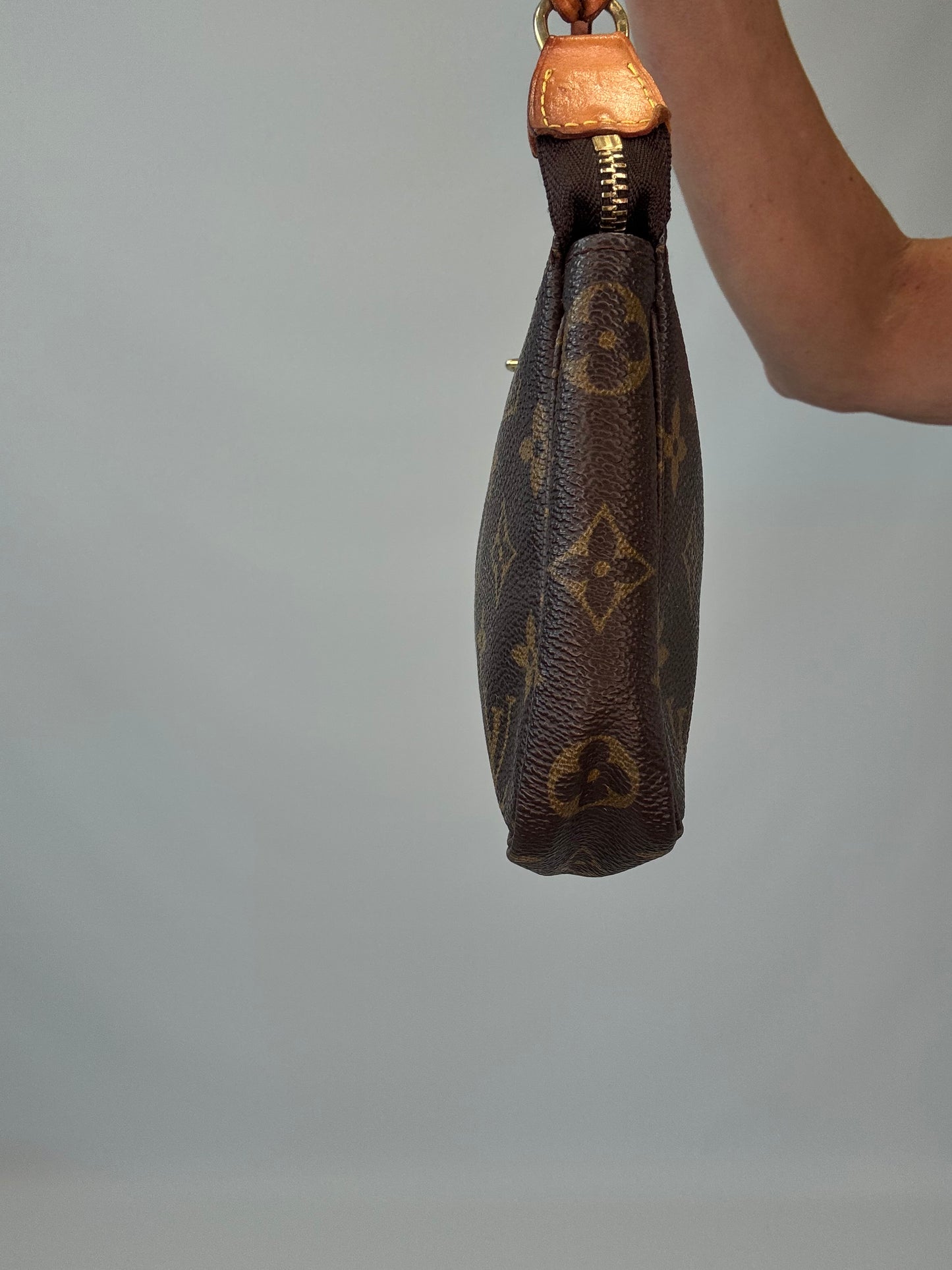 Louis Vuitton Monogram Canvas Pochette Accessoires